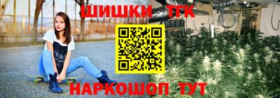 прущие крисы Сланцы