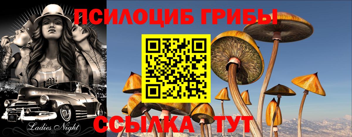 Псилоцибиновые грибы мухоморы Норильск