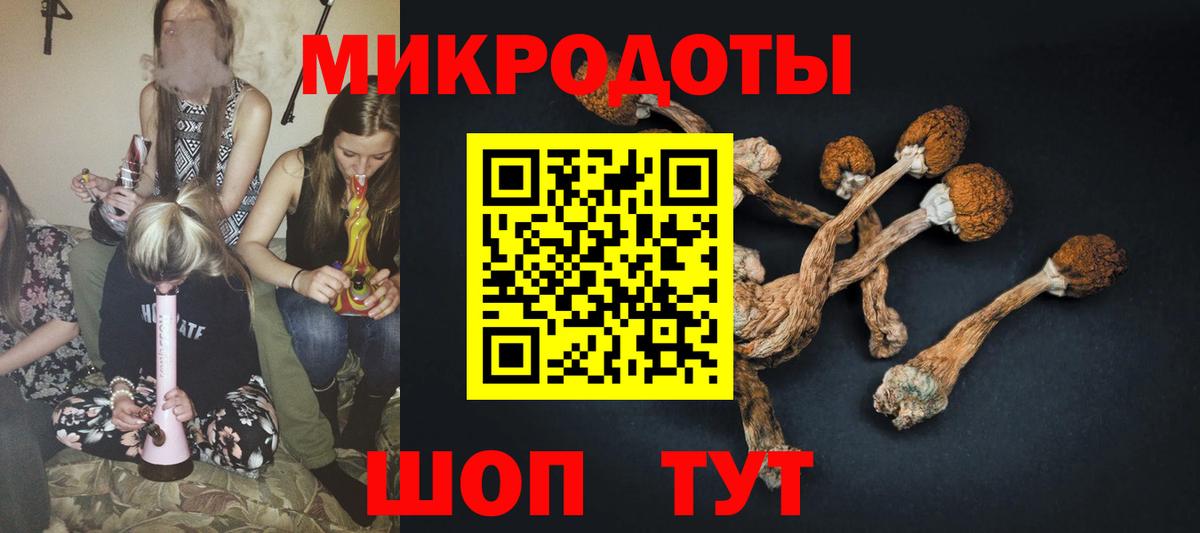 Галлюциногенные грибы Psilocybe  Псилоцибиновые грибы MAGIC MUSHROOMS  Норильск  Вход с VPN 
